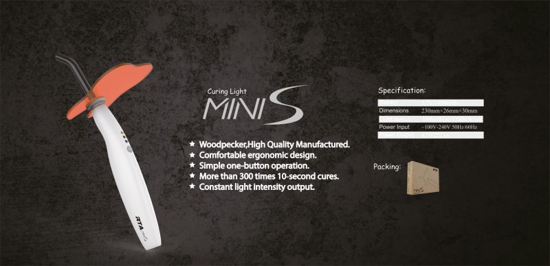 Mini-S-Woodpecker-800x388